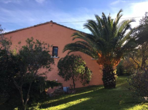 Appartement T2 proche Ajaccio